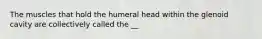 The muscles that hold the humeral head within the glenoid cavity are collectively called the __