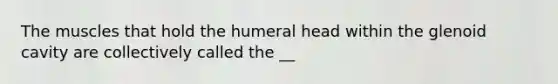 The muscles that hold the humeral head within the glenoid cavity are collectively called the __