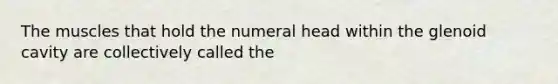 The muscles that hold the numeral head within the glenoid cavity are collectively called the