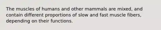 The muscles of humans and other mammals are mixed, and contain different proportions of slow and fast muscle fibers, depending on their functions.