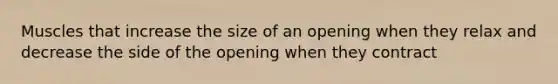 Muscles that increase the size of an opening when they relax and decrease the side of the opening when they contract