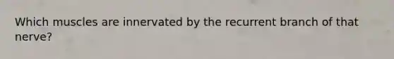 Which muscles are innervated by the recurrent branch of that nerve?