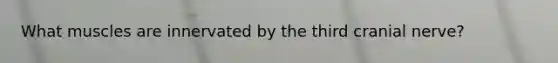 What muscles are innervated by the third cranial nerve?