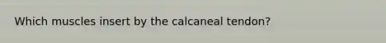 Which muscles insert by the calcaneal tendon?