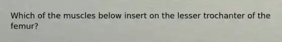 Which of the muscles below insert on the lesser trochanter of the femur?