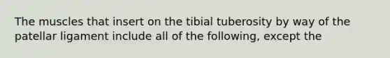 The muscles that insert on the tibial tuberosity by way of the patellar ligament include all of the following, except the