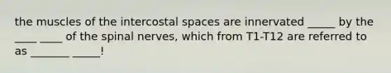 the muscles of the intercostal spaces are innervated _____ by the ____ ____ of the spinal nerves, which from T1-T12 are referred to as _______ _____!