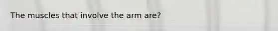 The muscles that involve the arm are?