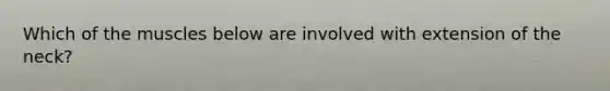 Which of the muscles below are involved with extension of the neck?