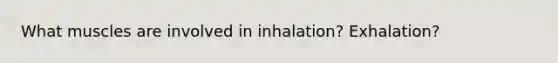 What muscles are involved in inhalation? Exhalation?