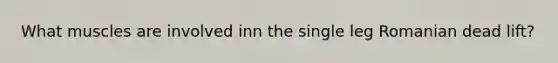 What muscles are involved inn the single leg Romanian dead lift?