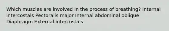 Which muscles are involved in the process of breathing? Internal intercostals Pectoralis major Internal abdominal oblique Diaphragm External intercostals