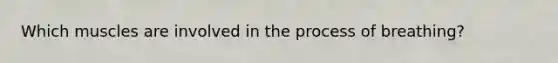 Which muscles are involved in the process of breathing?
