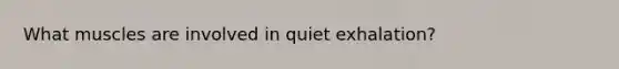 What muscles are involved in quiet exhalation?