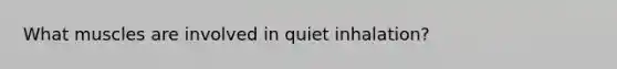 What muscles are involved in quiet inhalation?