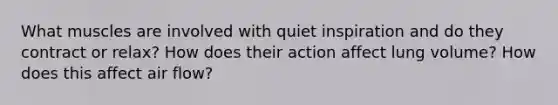 What muscles are involved with quiet inspiration and do they contract or relax? How does their action affect lung volume? How does this affect air flow?