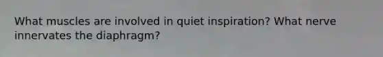 What muscles are involved in quiet inspiration? What nerve innervates the diaphragm?