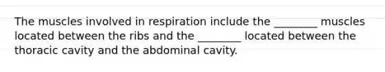 The muscles involved in respiration include the ________ muscles located between the ribs and the ________ located between the thoracic cavity and the abdominal cavity.