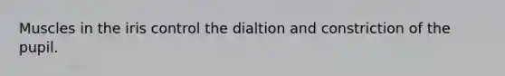 Muscles in the iris control the dialtion and constriction of the pupil.