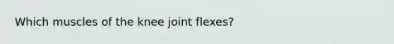 Which muscles of the knee joint flexes?