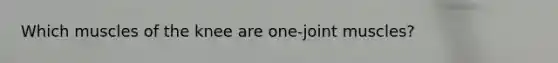Which muscles of the knee are one-joint muscles?