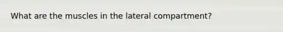 What are the muscles in the lateral compartment?