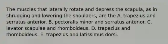 The muscles that laterally rotate and depress the scapula, as in shrugging and lowering the shoulders, are the A. trapezius and serratus anterior. B. pectoralis minor and serratus anterior. C. levator scapulae and rhomboideus. D. trapezius and rhomboideus. E. trapezius and latissimus dorsi.