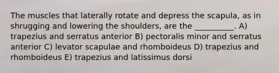 The muscles that laterally rotate and depress the scapula, as in shrugging and lowering the shoulders, are the __________. A) trapezius and serratus anterior B) pectoralis minor and serratus anterior C) levator scapulae and rhomboideus D) trapezius and rhomboideus E) trapezius and latissimus dorsi