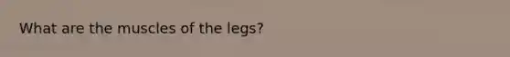 What are the muscles of the legs?