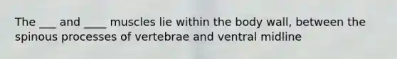 The ___ and ____ muscles lie within the body wall, between the spinous processes of vertebrae and ventral midline