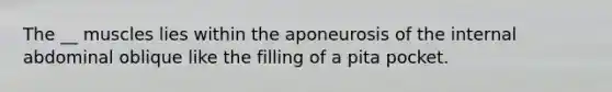 The __ muscles lies within the aponeurosis of the internal abdominal oblique like the filling of a pita pocket.