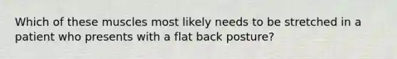 Which of these muscles most likely needs to be stretched in a patient who presents with a flat back posture?