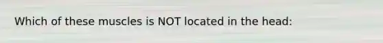 Which of these muscles is NOT located in the head: