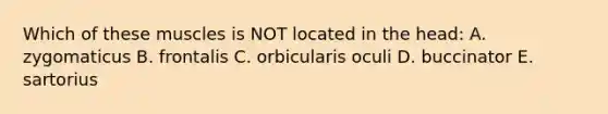 Which of these muscles is NOT located in the head: A. zygomaticus B. frontalis C. orbicularis oculi D. buccinator E. sartorius