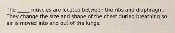 The _____ muscles are located between the ribs and diaphragm. They change the size and shape of the chest during breathing so air is moved into and out of the lungs.