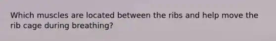 Which muscles are located between the ribs and help move the rib cage during breathing?