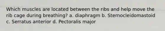 Which muscles are located between the ribs and help move the rib cage during breathing? a. diaphragm b. Sternocleidomastoid c. Serratus anterior d. Pectoralis major