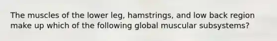 The muscles of the lower leg, hamstrings, and low back region make up which of the following global muscular subsystems?