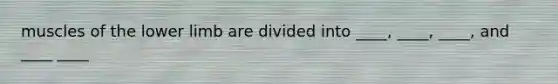muscles of the lower limb are divided into ____, ____, ____, and ____ ____