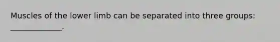 Muscles of the lower limb can be separated into three groups: _____________.