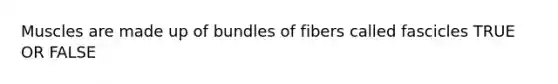 Muscles are made up of bundles of fibers called fascicles TRUE OR FALSE