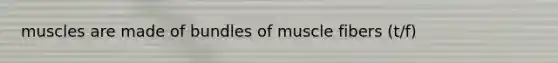muscles are made of bundles of muscle fibers (t/f)