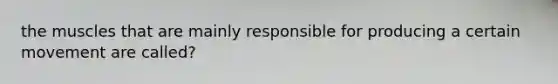 the muscles that are mainly responsible for producing a certain movement are called?