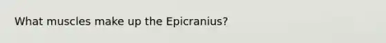 What muscles make up the Epicranius?