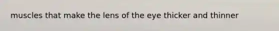 muscles that make the lens of the eye thicker and thinner