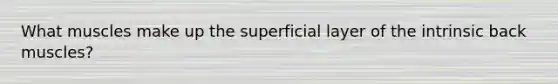 What muscles make up the superficial layer of the intrinsic back muscles?