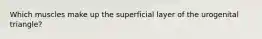 Which muscles make up the superficial layer of the urogenital triangle?