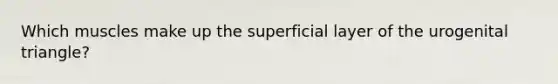 Which muscles make up the superficial layer of the urogenital triangle?