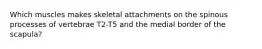 Which muscles makes skeletal attachments on the spinous processes of vertebrae T2-T5 and the medial border of the scapula?