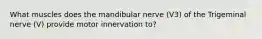 What muscles does the mandibular nerve (V3) of the Trigeminal nerve (V) provide motor innervation to?